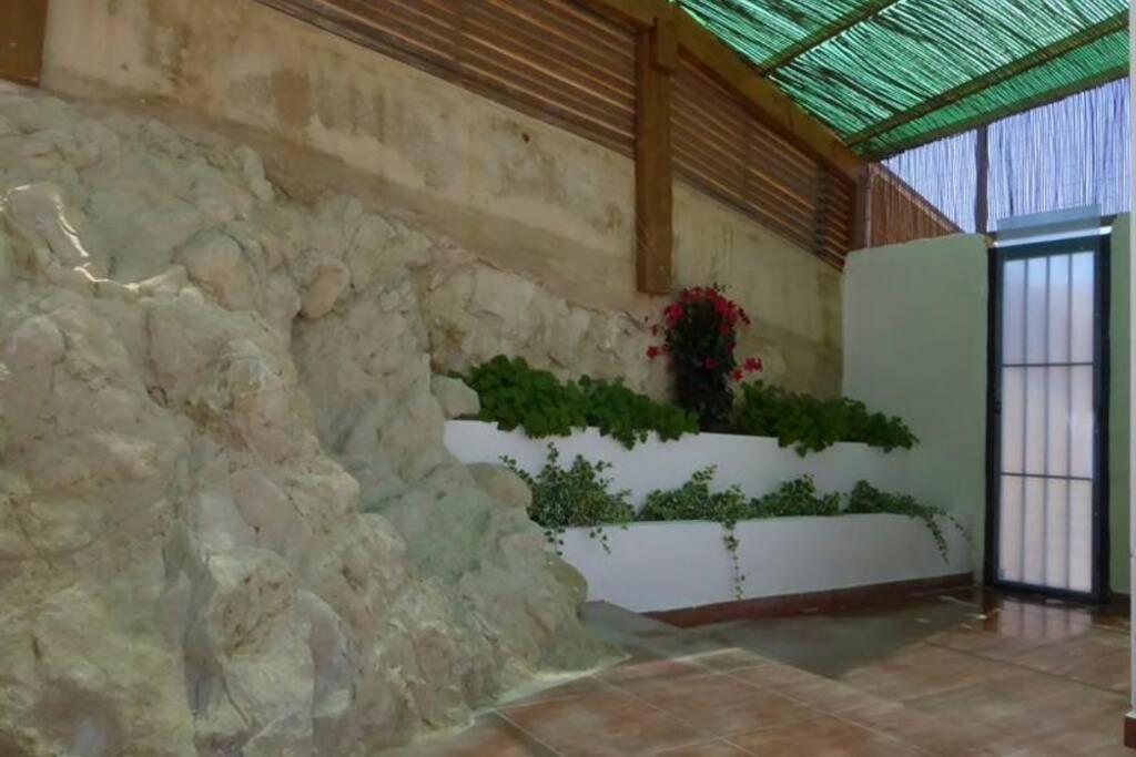 The Secret Garden Βίλα Αλικάντε Εξωτερικό φωτογραφία